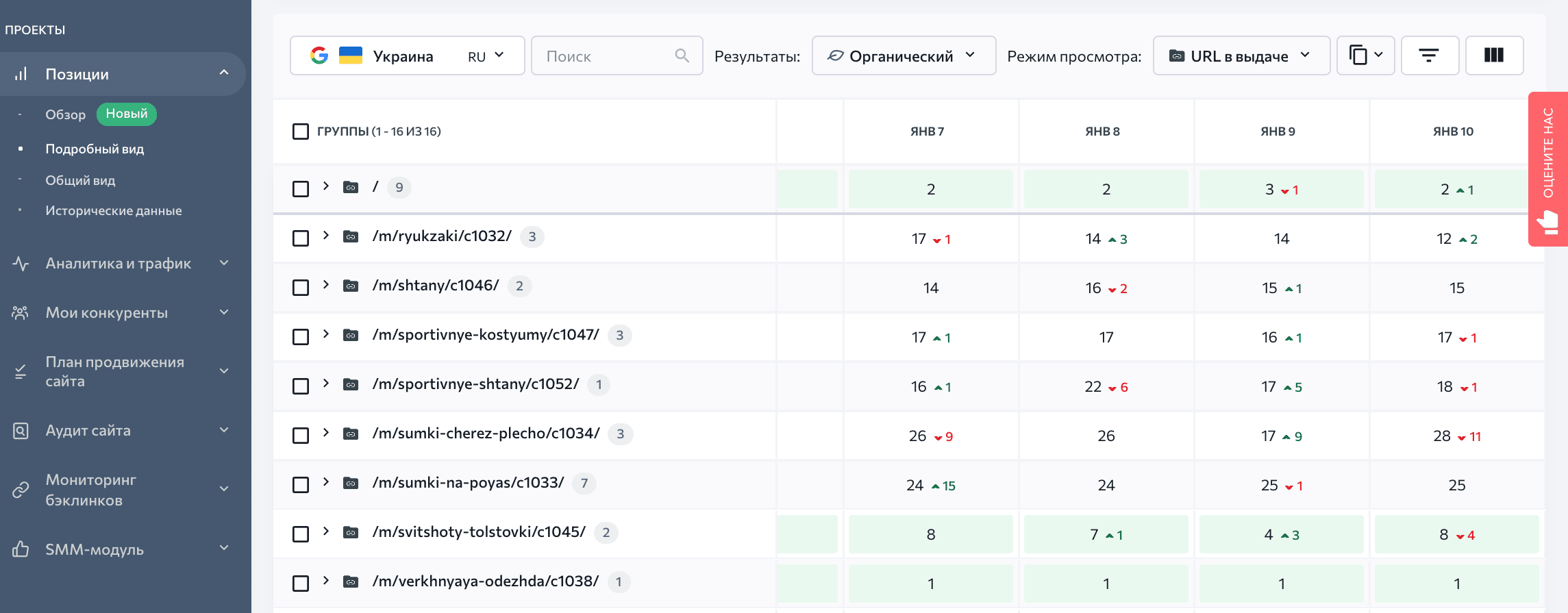 Режим просмотра таблицы позиций «URL в выдаче»